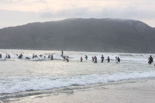 IRONMAN 70.3 - FLORIANÓPOLIS - 2025