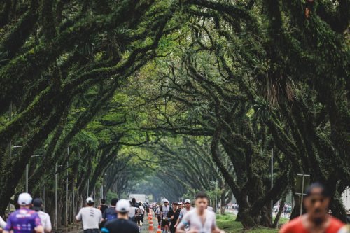 IRONMAN 70.3 SÃO PAULO 2026